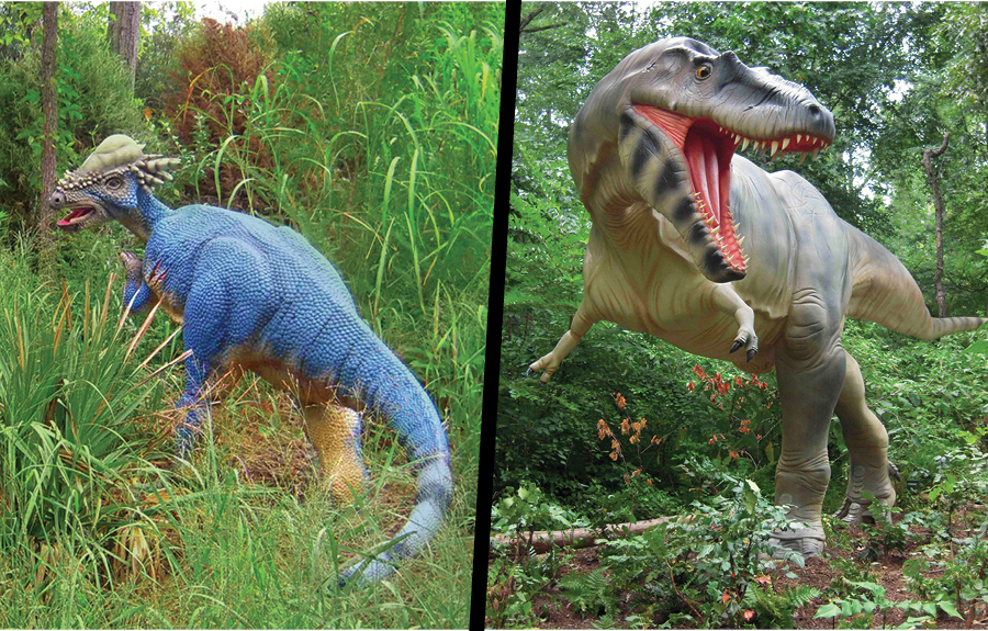 Side by side of pachycephalosaurus and albertosaurus sculptures in zoo exhibit