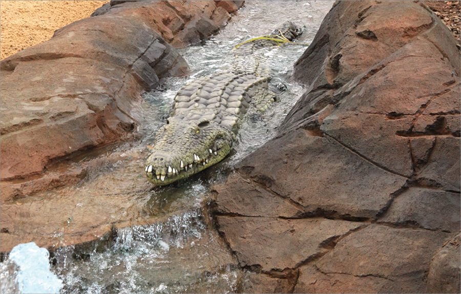 Realistically sculpted crocodile laying in stream in a outdoor zoo exhibit