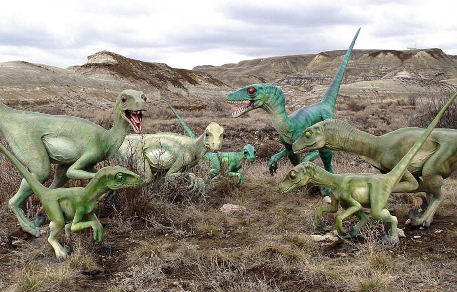 Multiple hand sculpted velociraptors on display in Alberta badlands